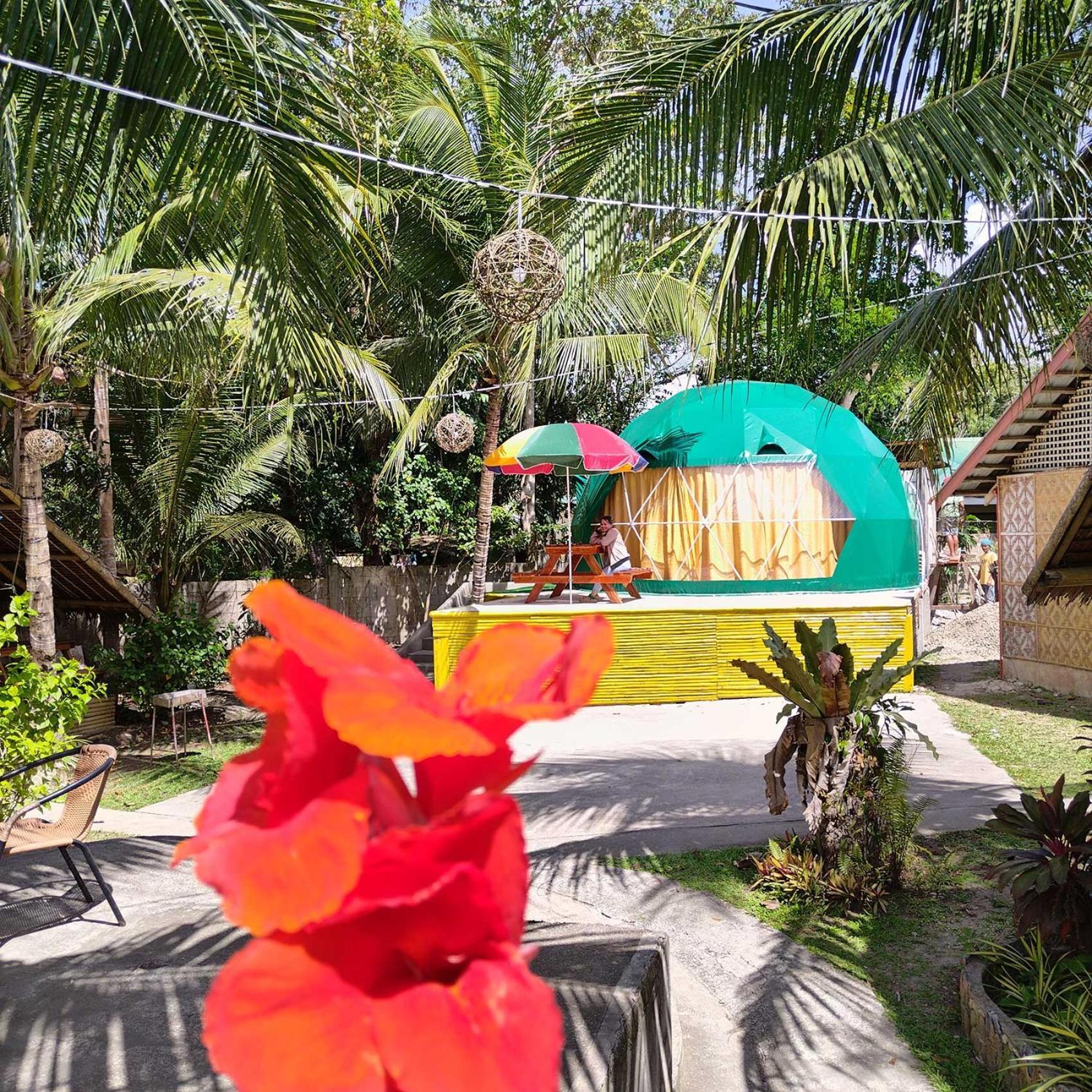 Eco Glamping Treehouses Closest Resort To All Tourist Attractions Balilihan Eksteriør bilde