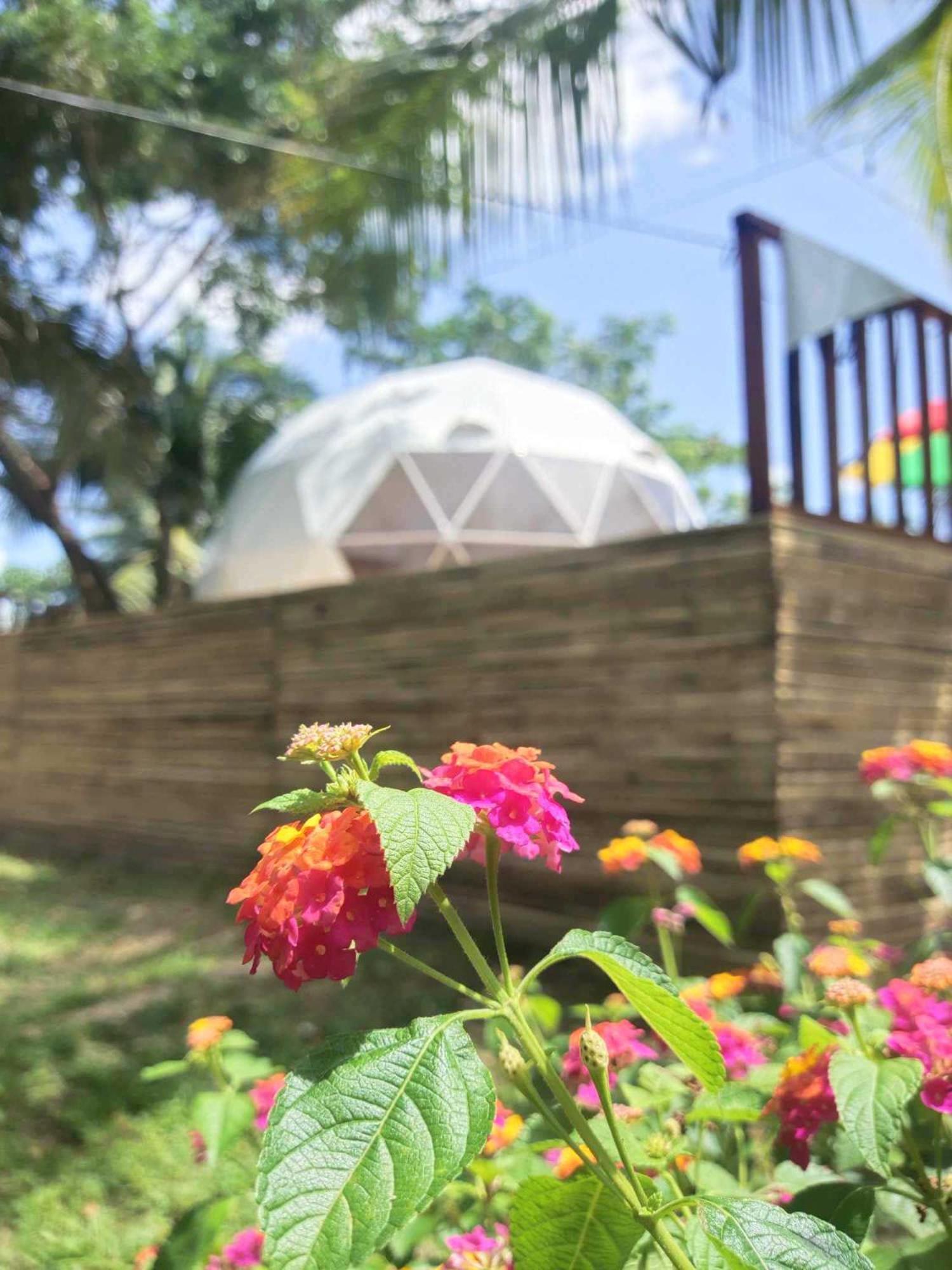 Eco Glamping Treehouses Closest Resort To All Tourist Attractions Balilihan Eksteriør bilde